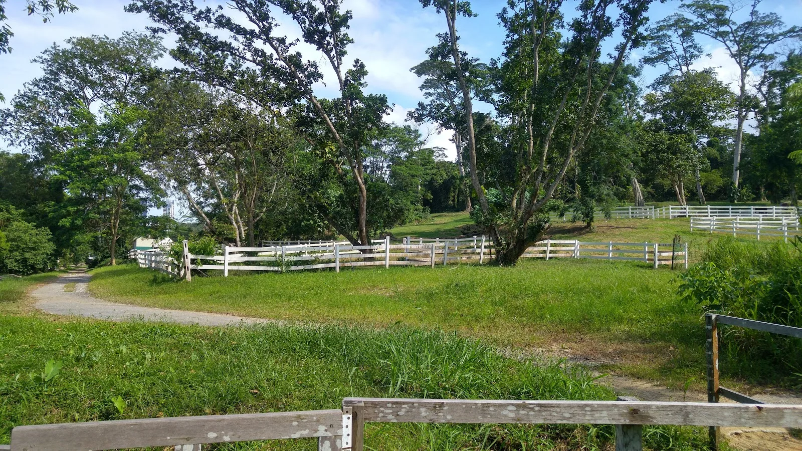 RDA Centre