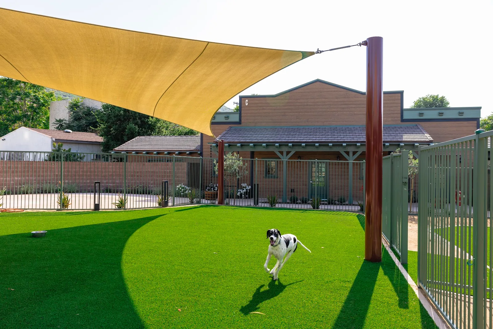 Eastwood Ranch Foundation Rescue & Adoption Center