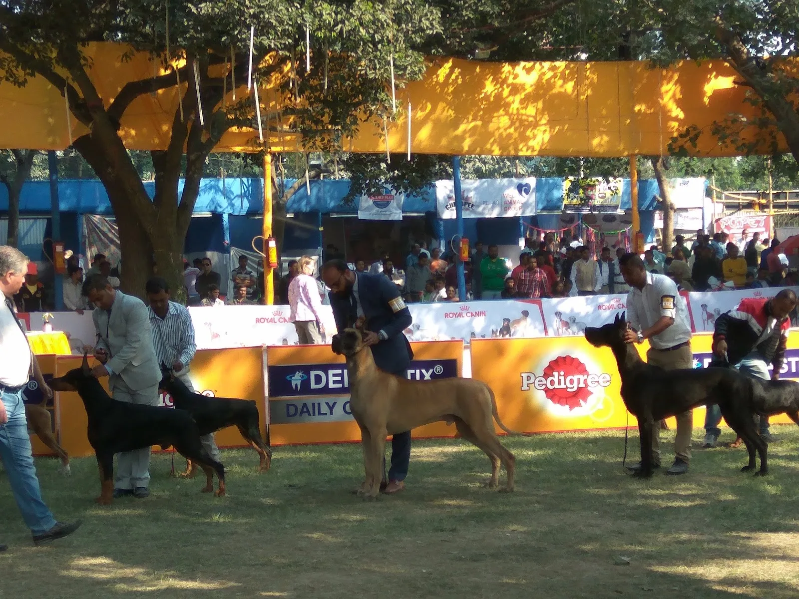 Calcutta Kennel Club