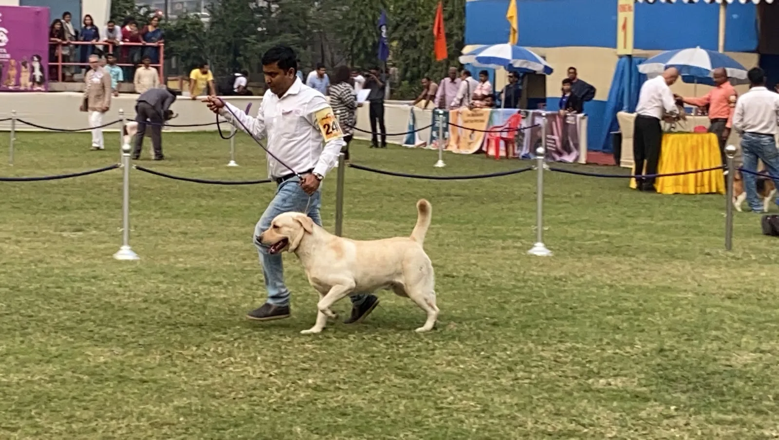 Calcutta Kennel Club