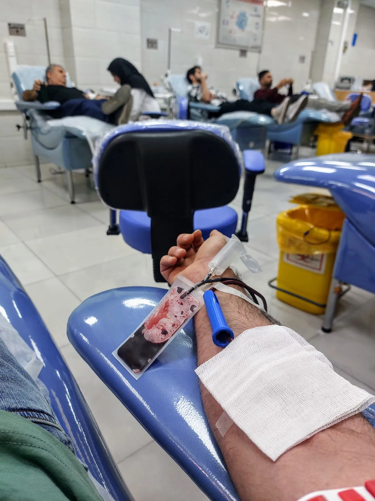 Fars Blood Transfusion Org.