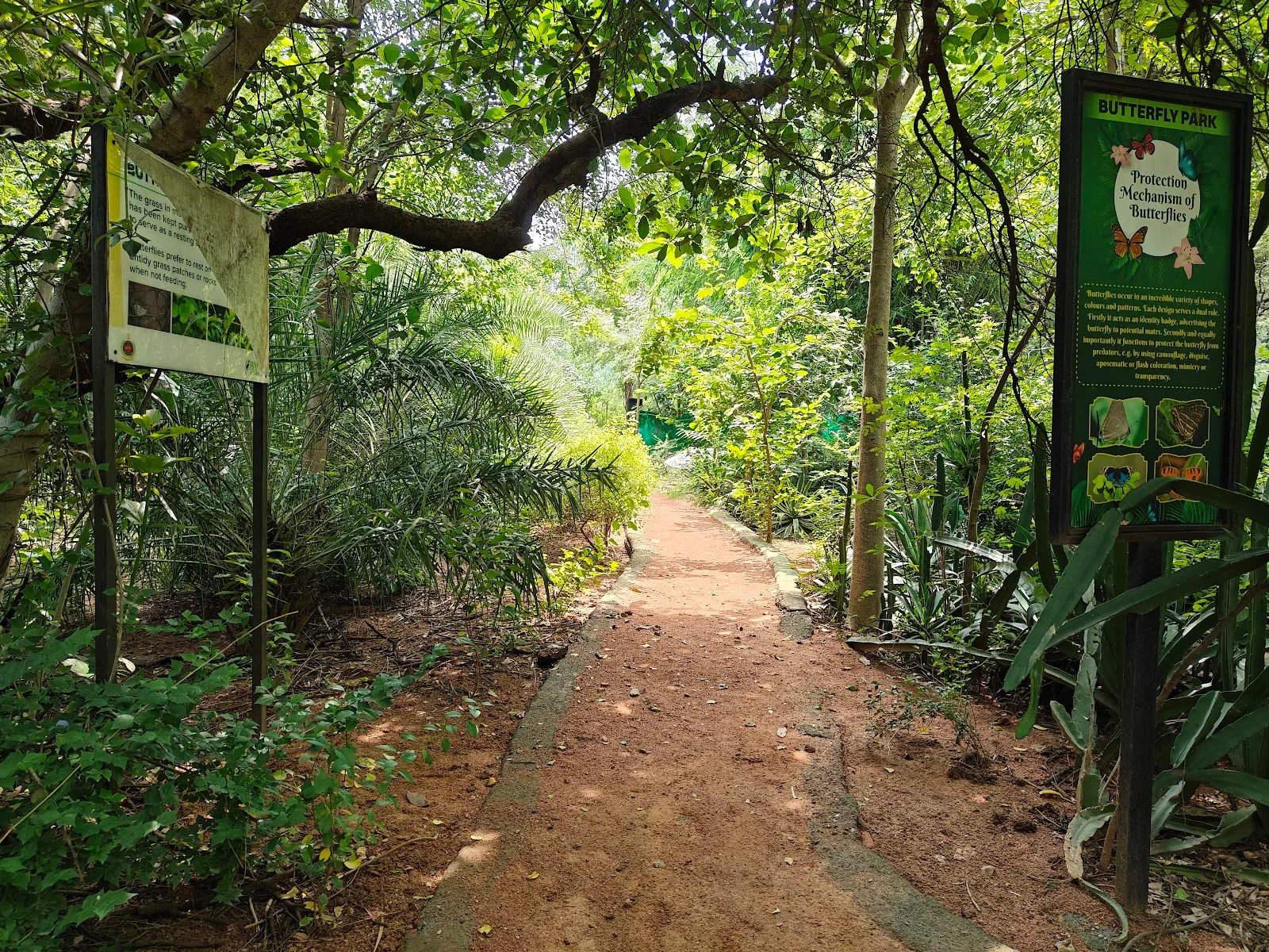 Asola-Bhatti Wildlife Sanctuary