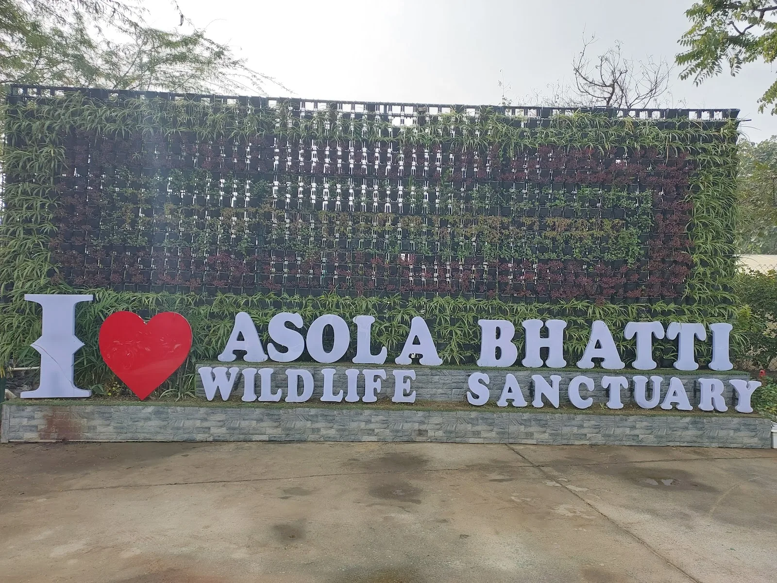 Asola-Bhatti Wildlife Sanctuary