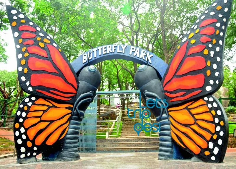 Asola-Bhatti Wildlife Sanctuary