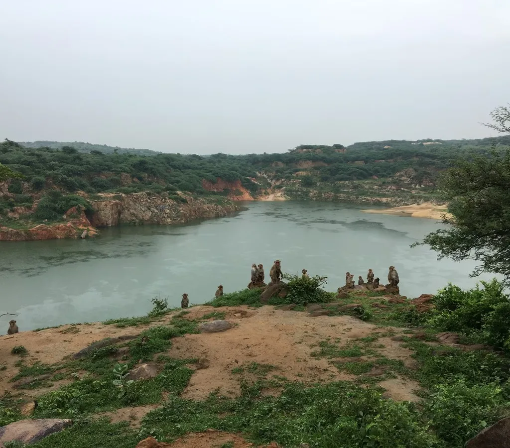 Asola-Bhatti Wildlife Sanctuary