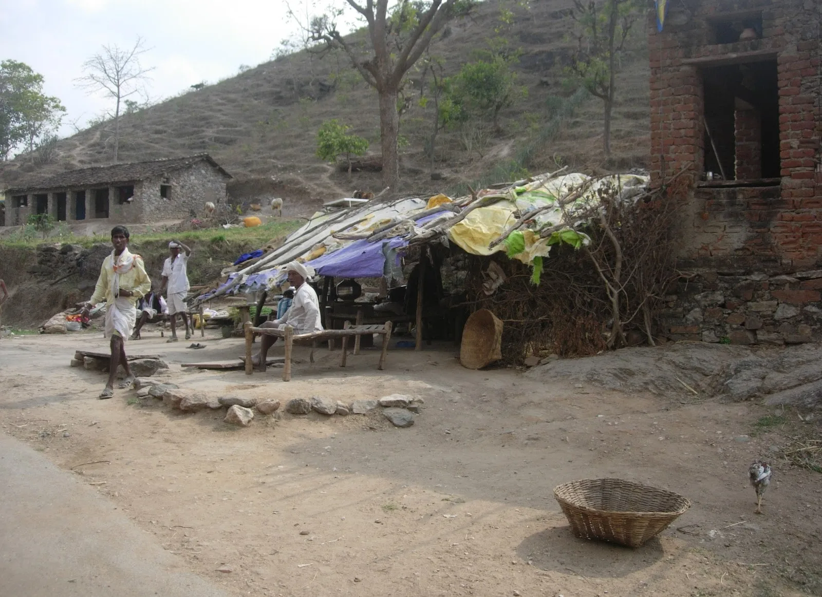 NGOs India Consultancy