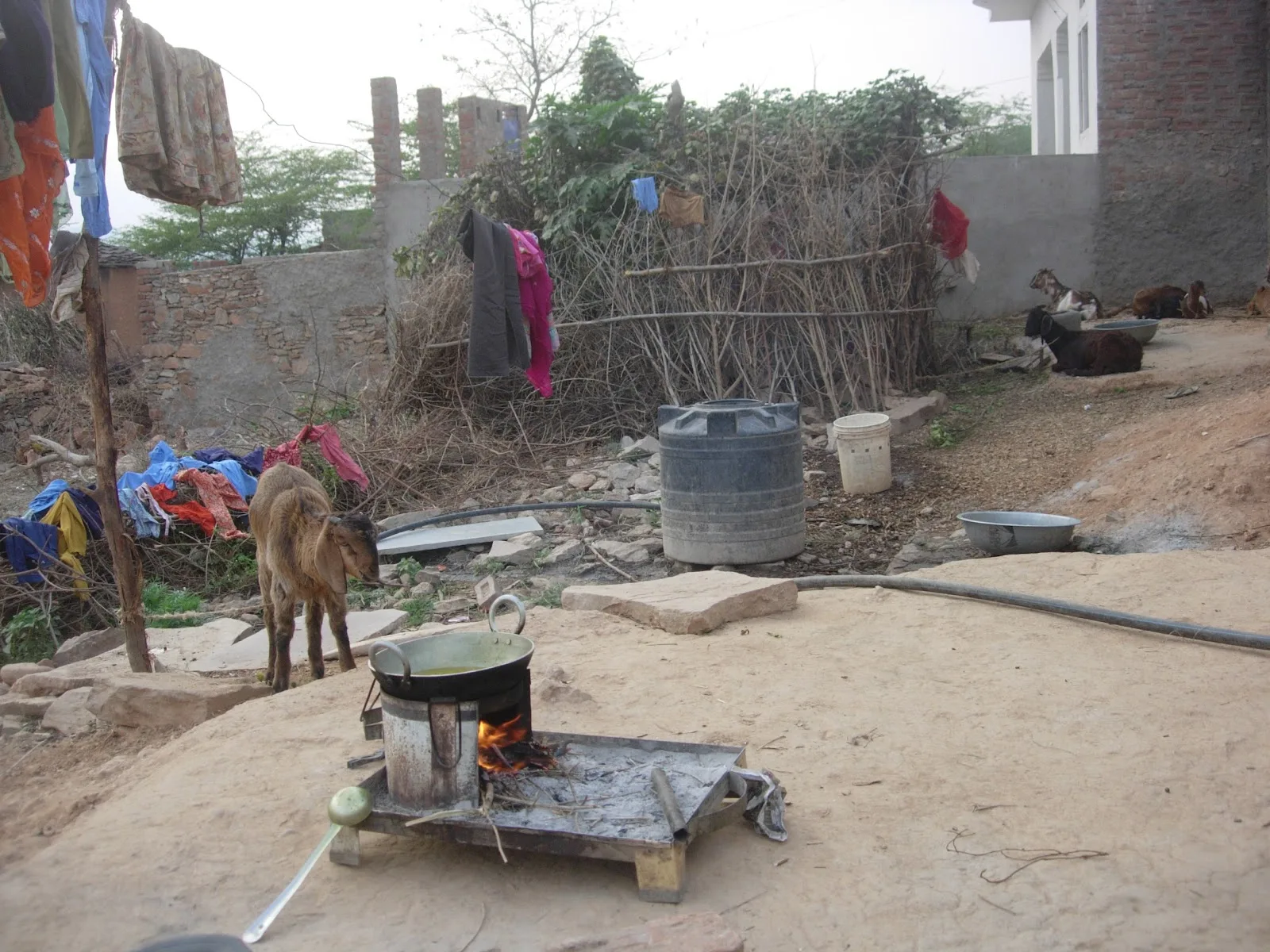 NGOs India Consultancy