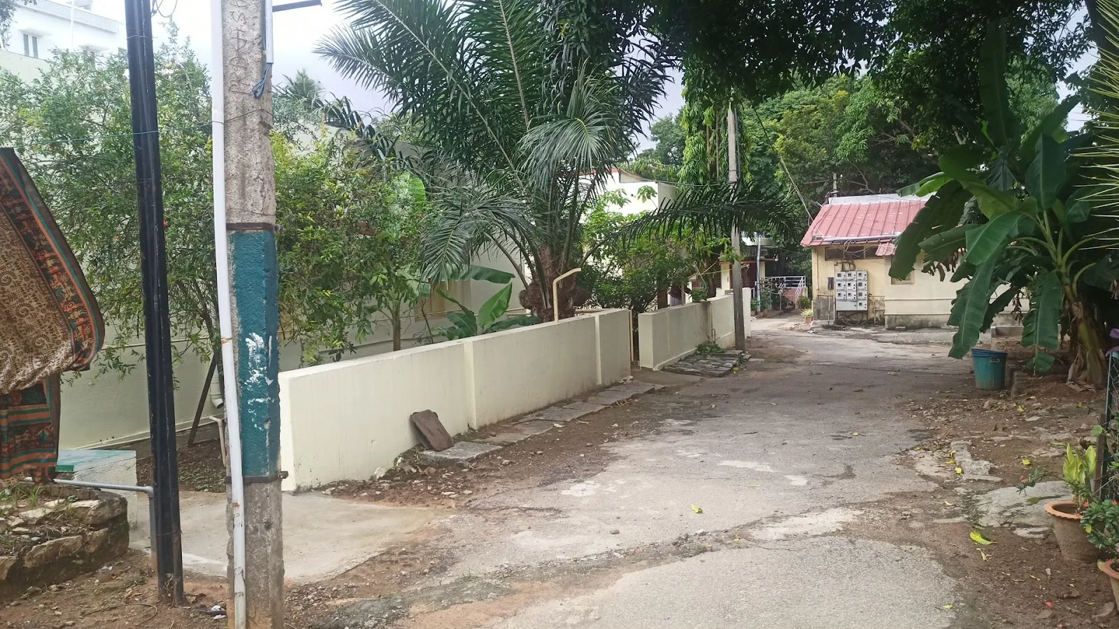 The Bangalore Friend In Need Society