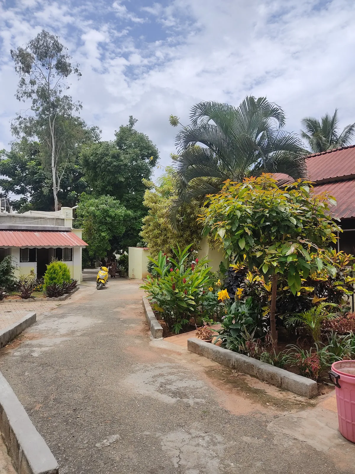 The Bangalore Friend In Need Society