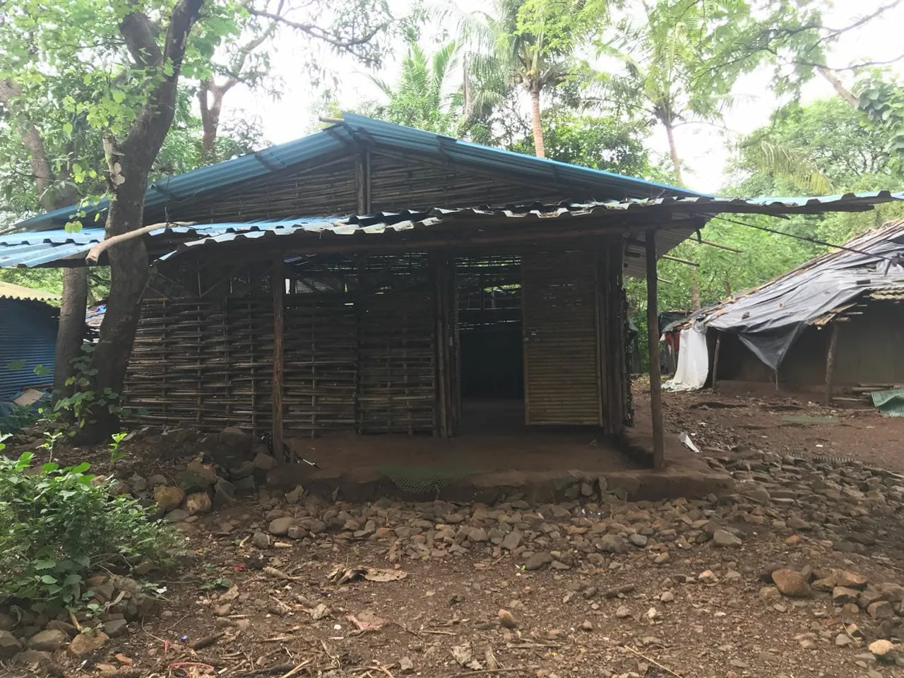 Human Team Foundation