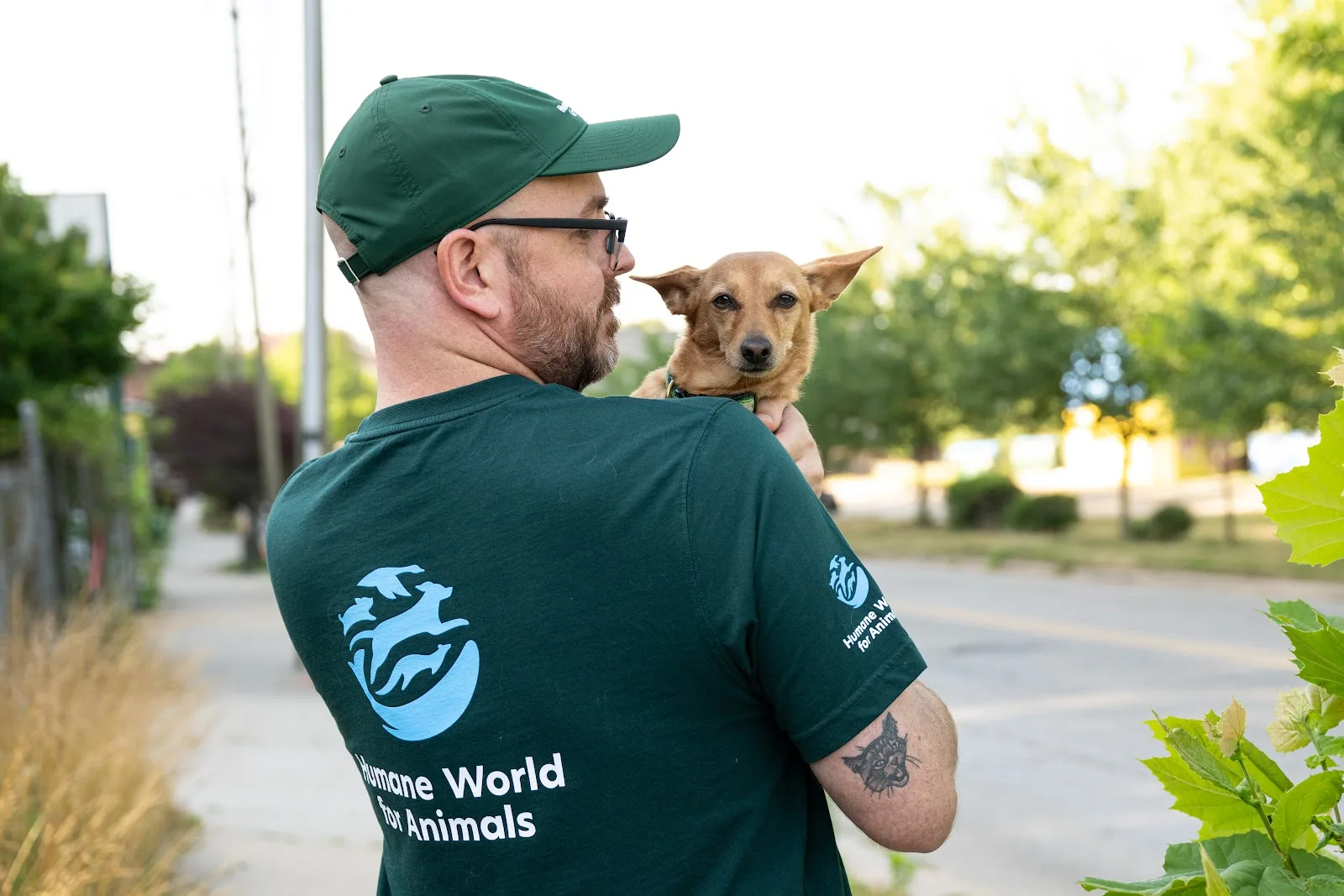 Humane World for Animals Australia