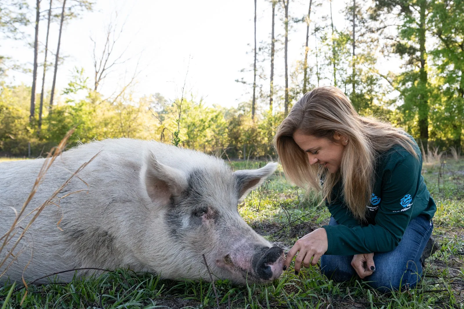 Humane World for Animals Australia