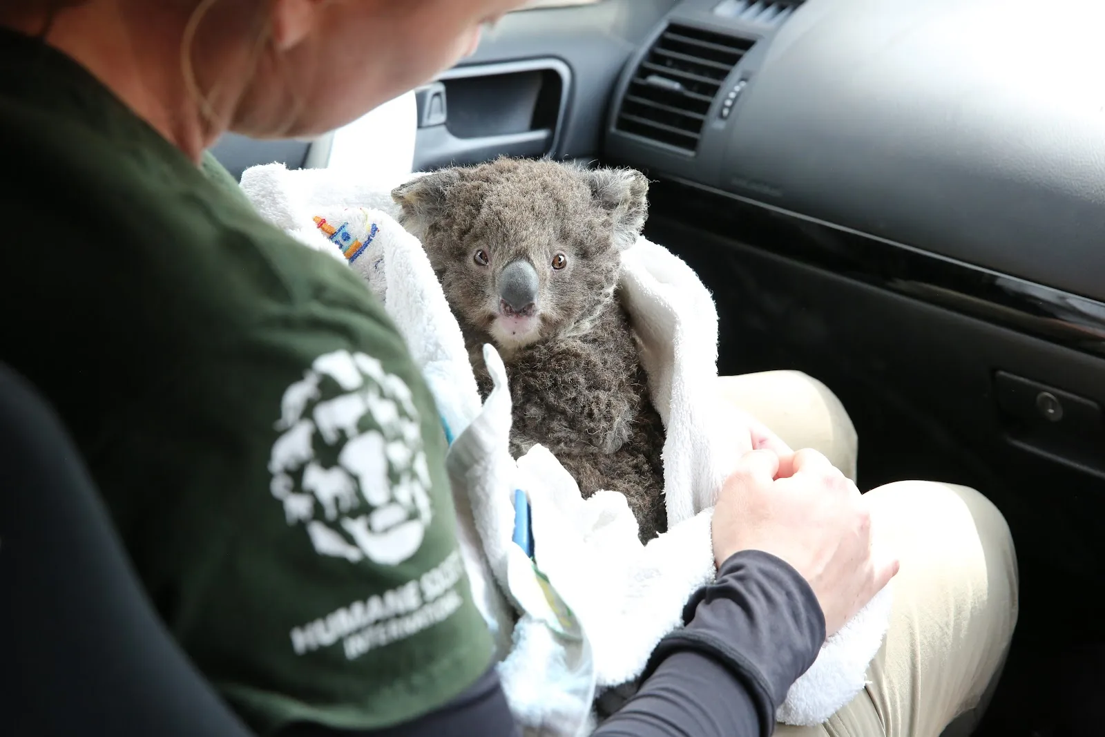 Humane World for Animals Australia