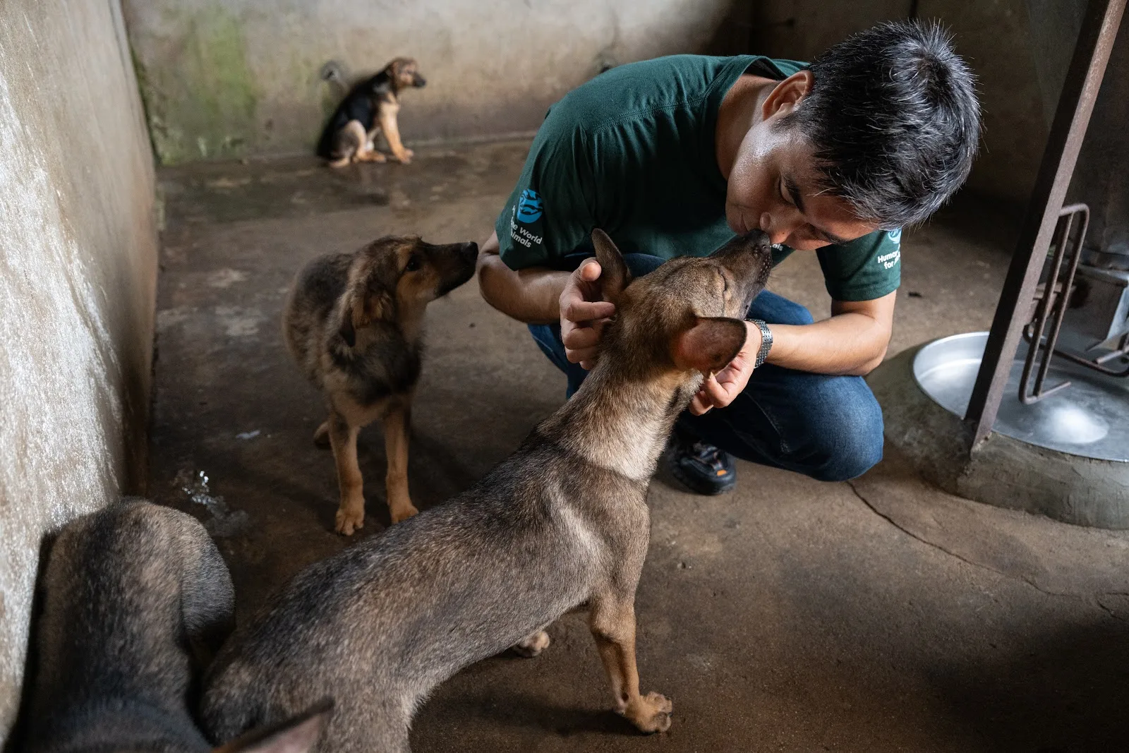 Humane World for Animals Australia