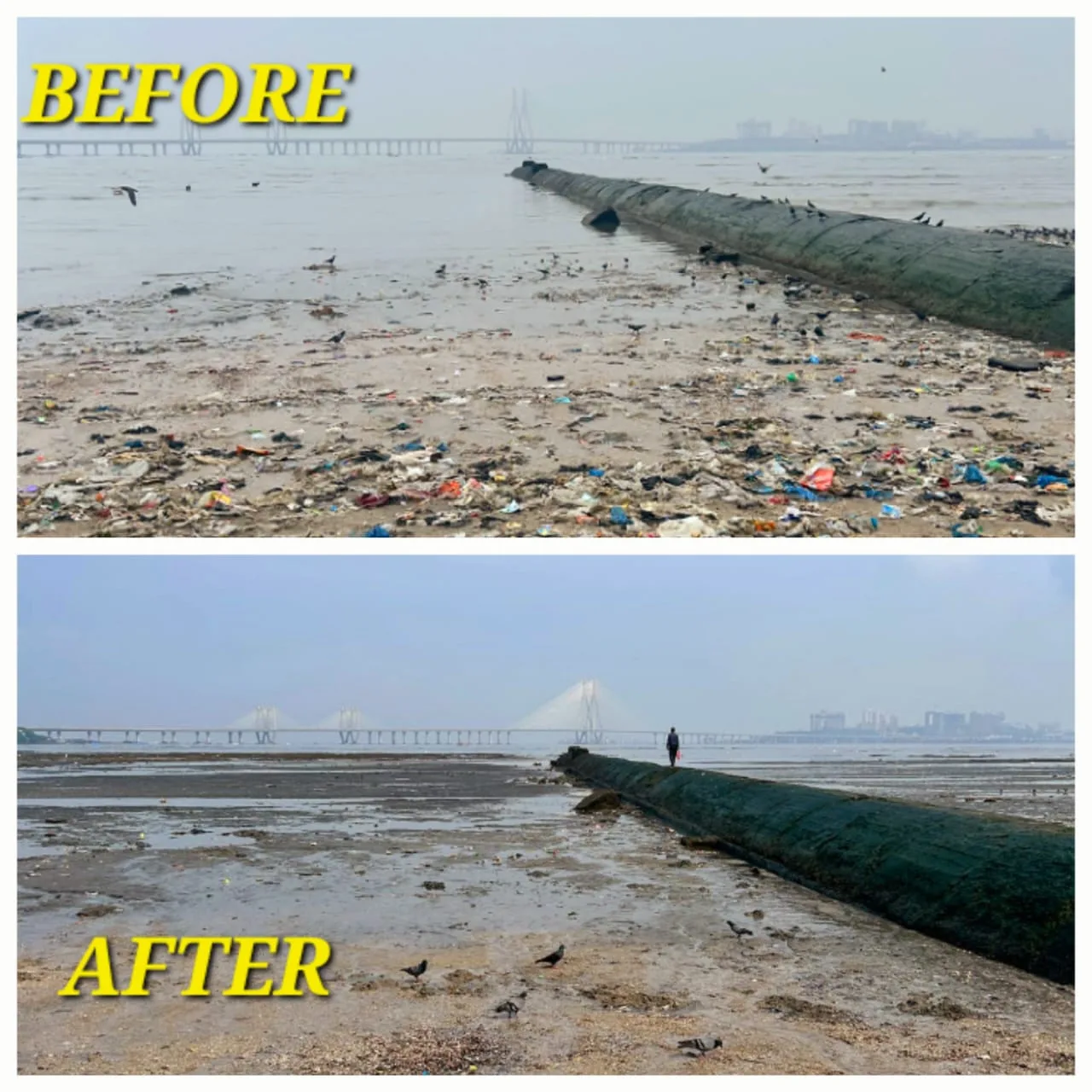Sahyog Pratishthan Trust | NGO in Thane
