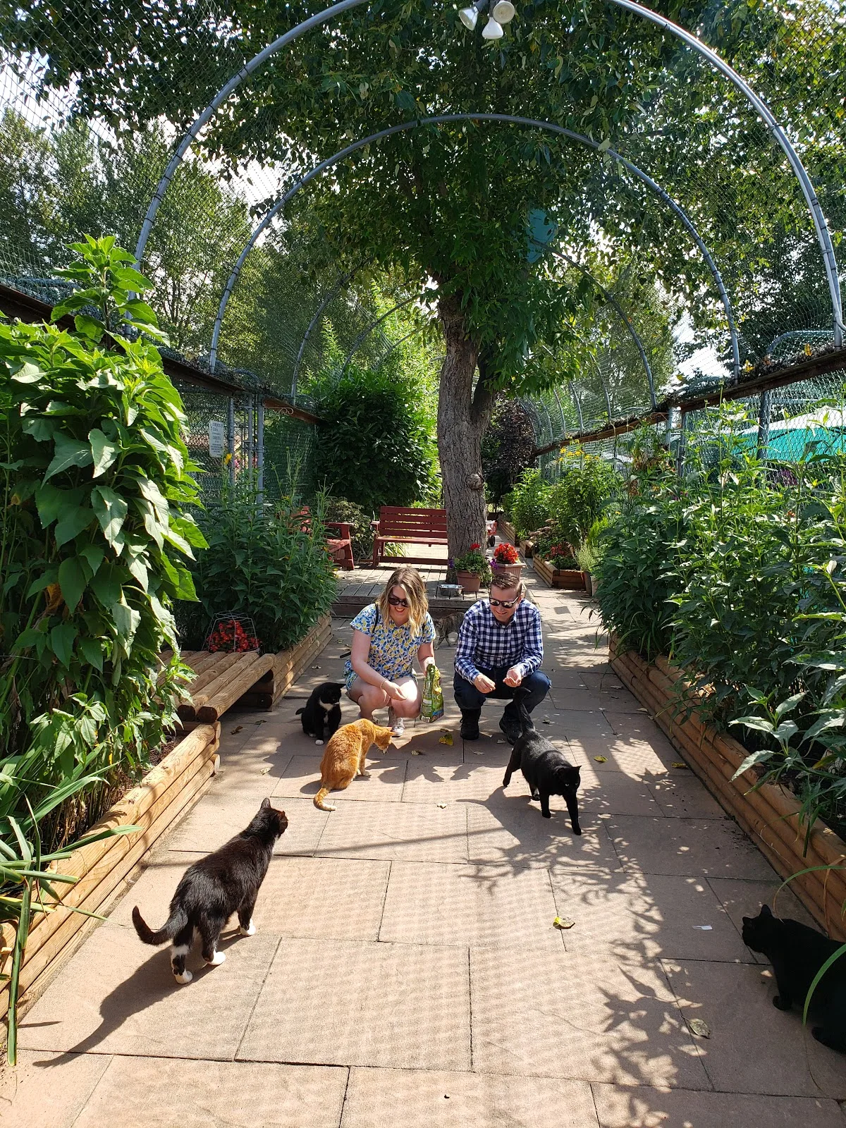 RAPS Adoption & Education Centre