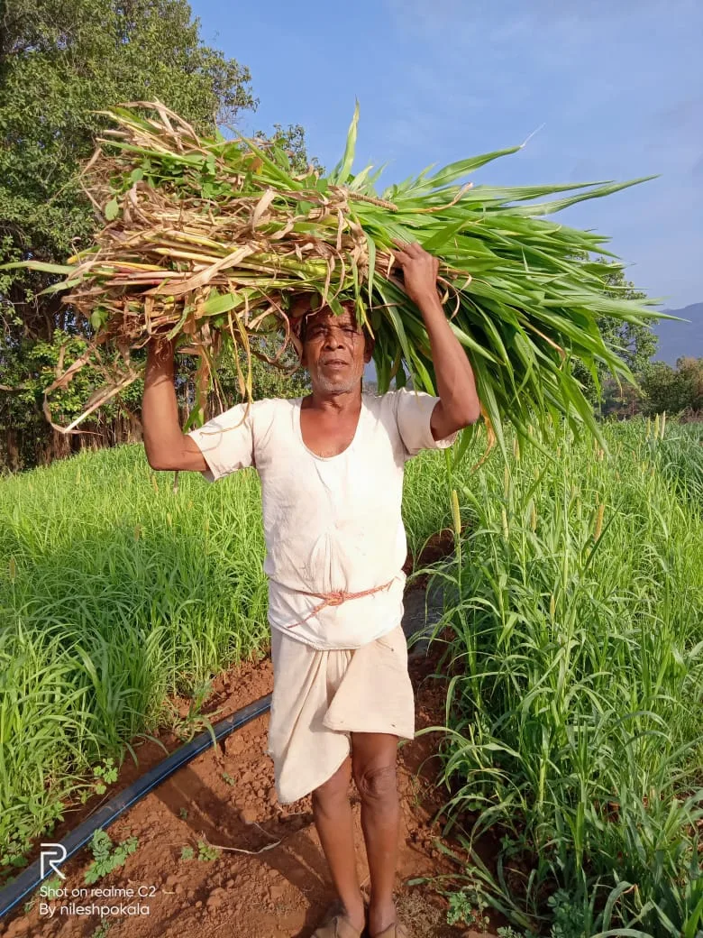 Bhavyata Foundation