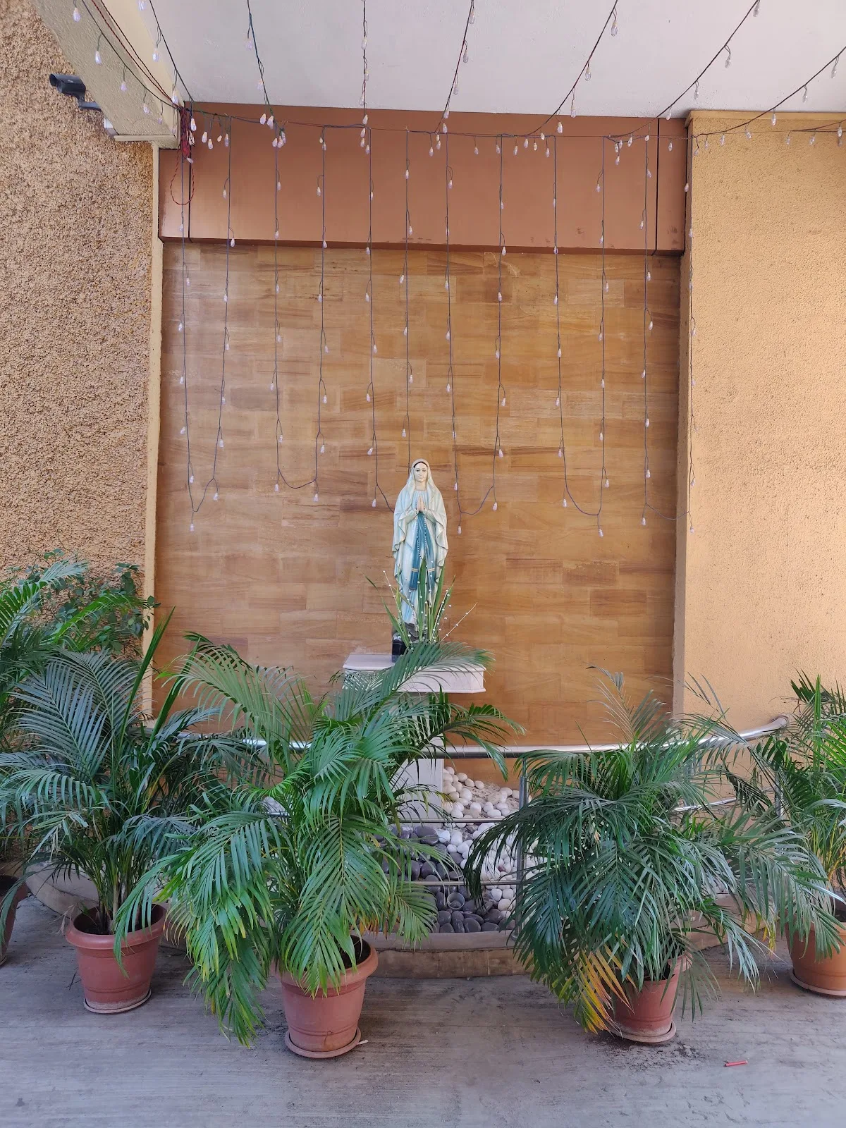 Our Lady's Home