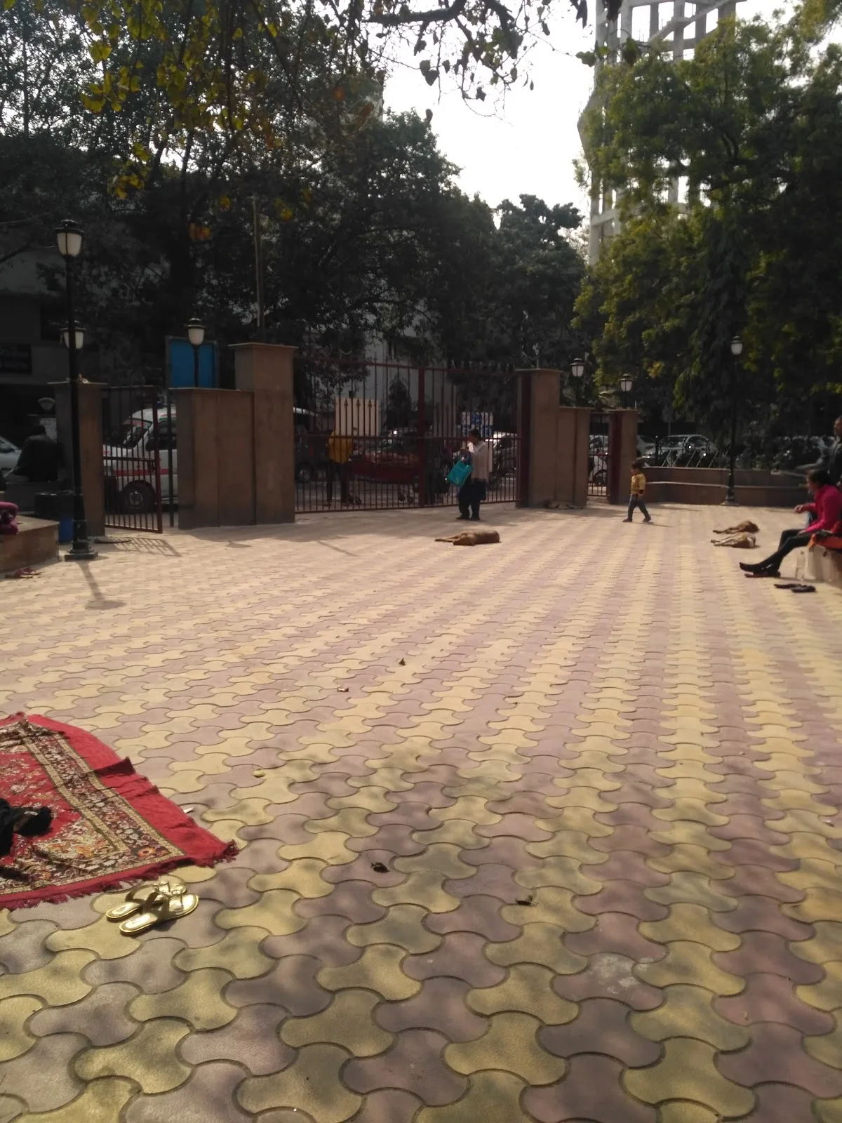 Smt Sucheta Kriplani Hospital
