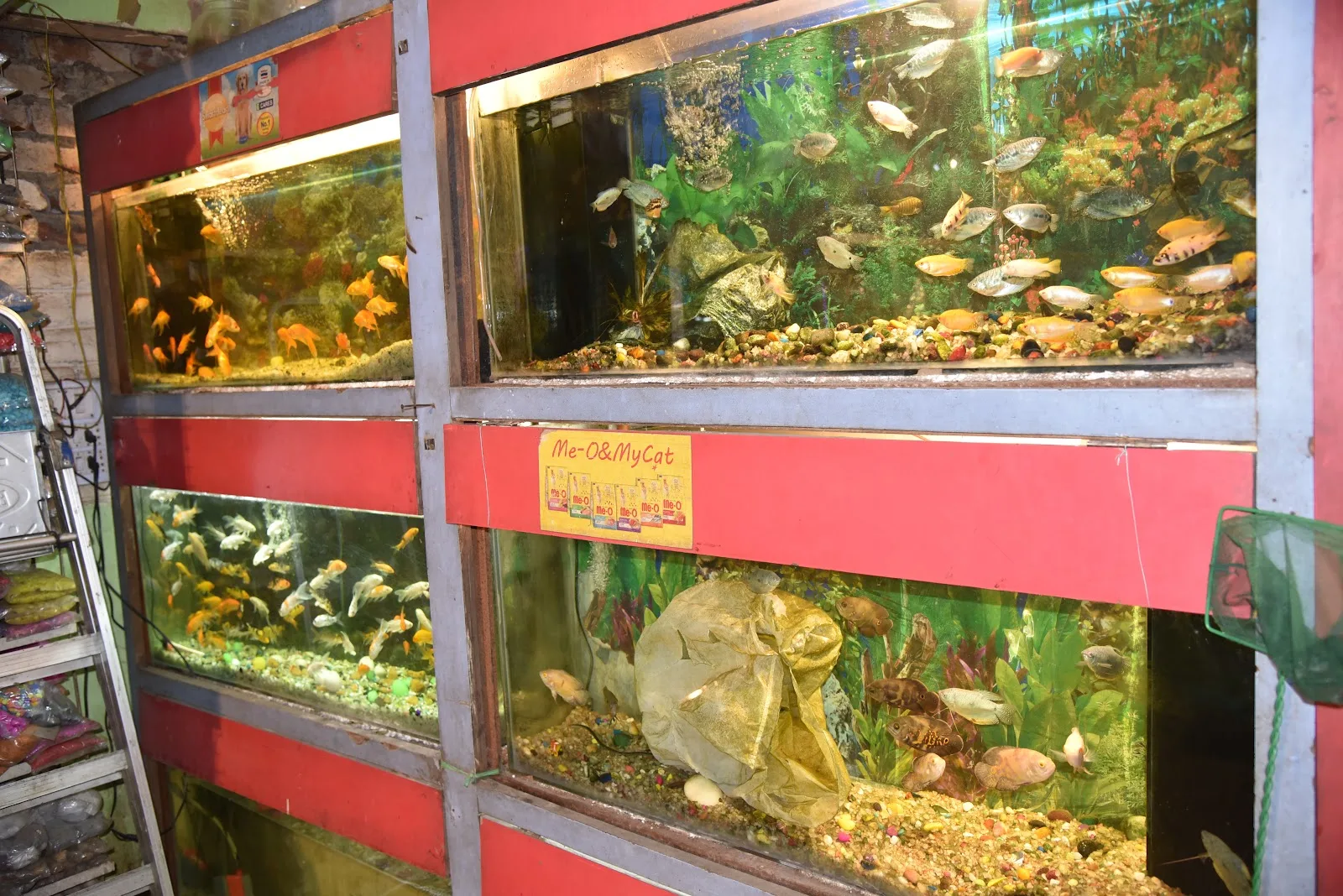 Sameer Pet Shop