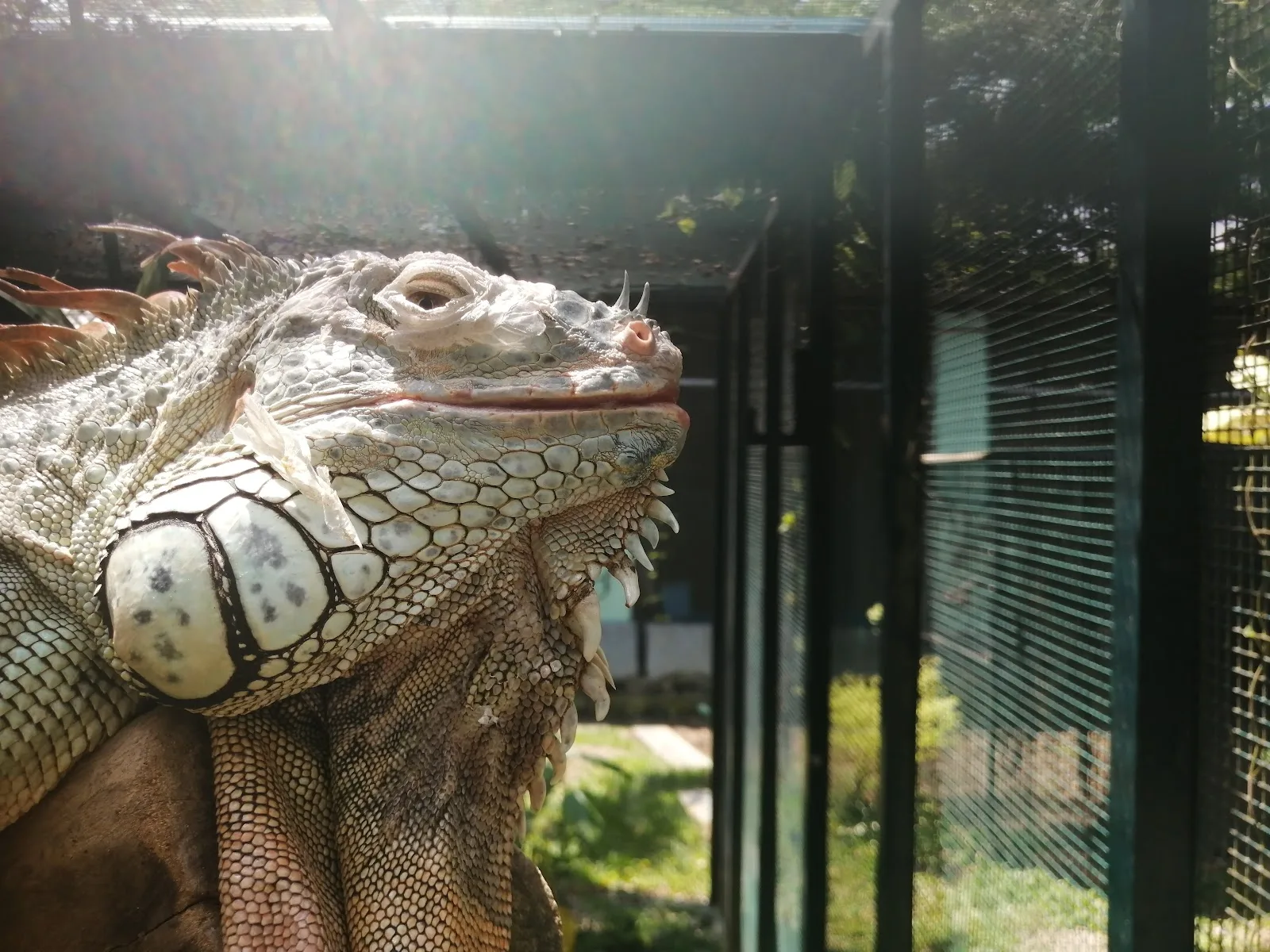 Acres Wildlife Rescue Centre