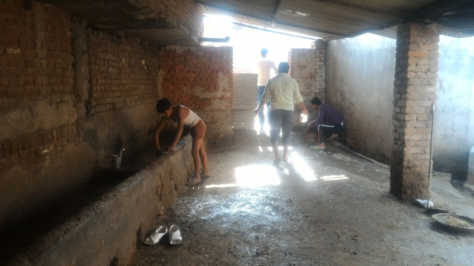 Gau Premi Sewa Sanstha Gaushala