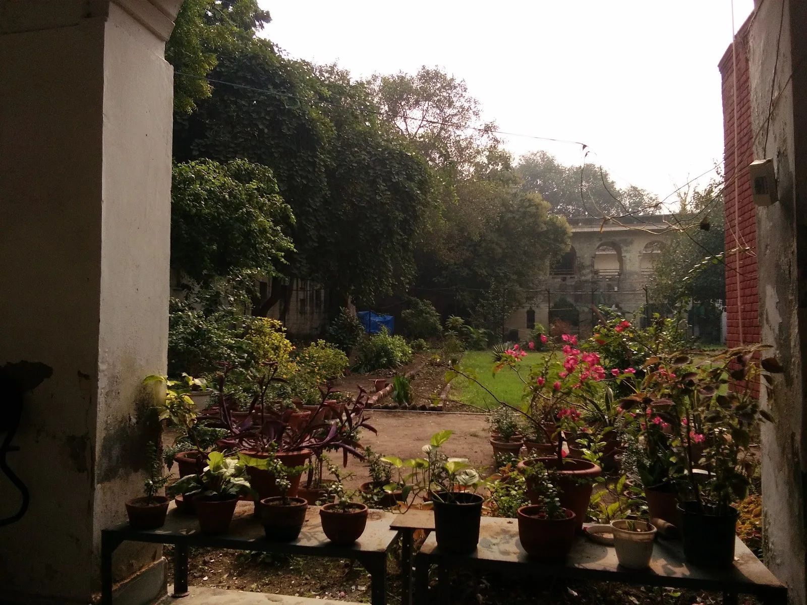 Maulana Azad education foundation