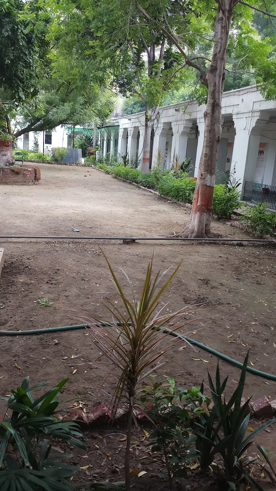 Maulana Azad education foundation