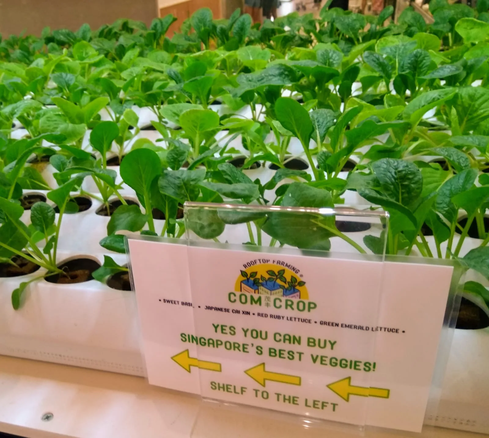 ComCrop