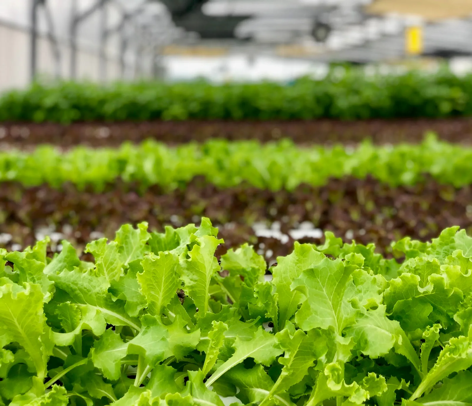 ComCrop