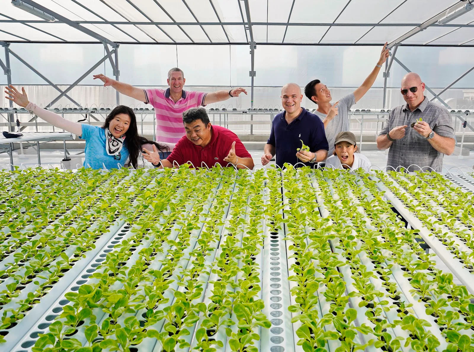 ComCrop