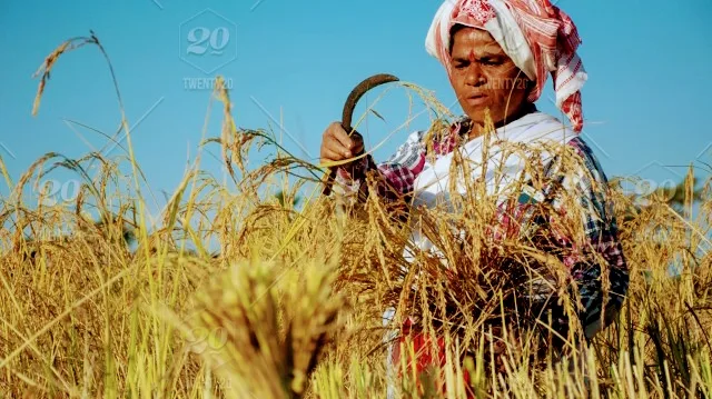 Farmers Needs Help Foundation