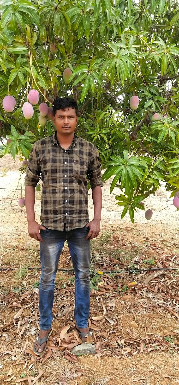 Mumbai Agricultural Produce Market Committee