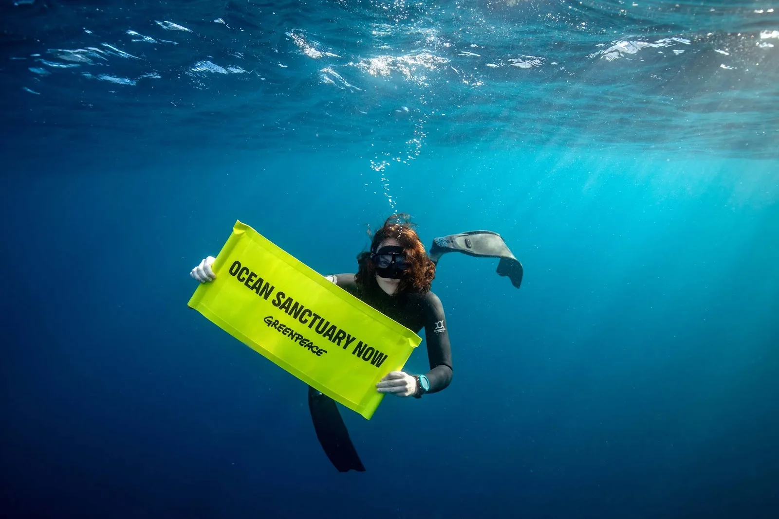 Greenpeace Australia Pacific