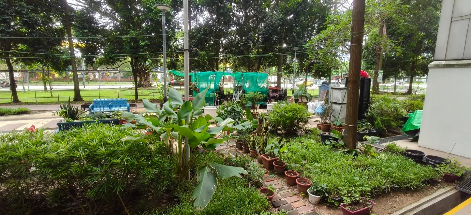 Kampung Senang Holistic Lifestyle Centre – Aljunied 106