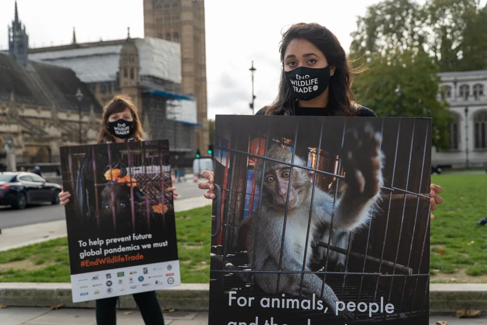 World Animal Protection Canada