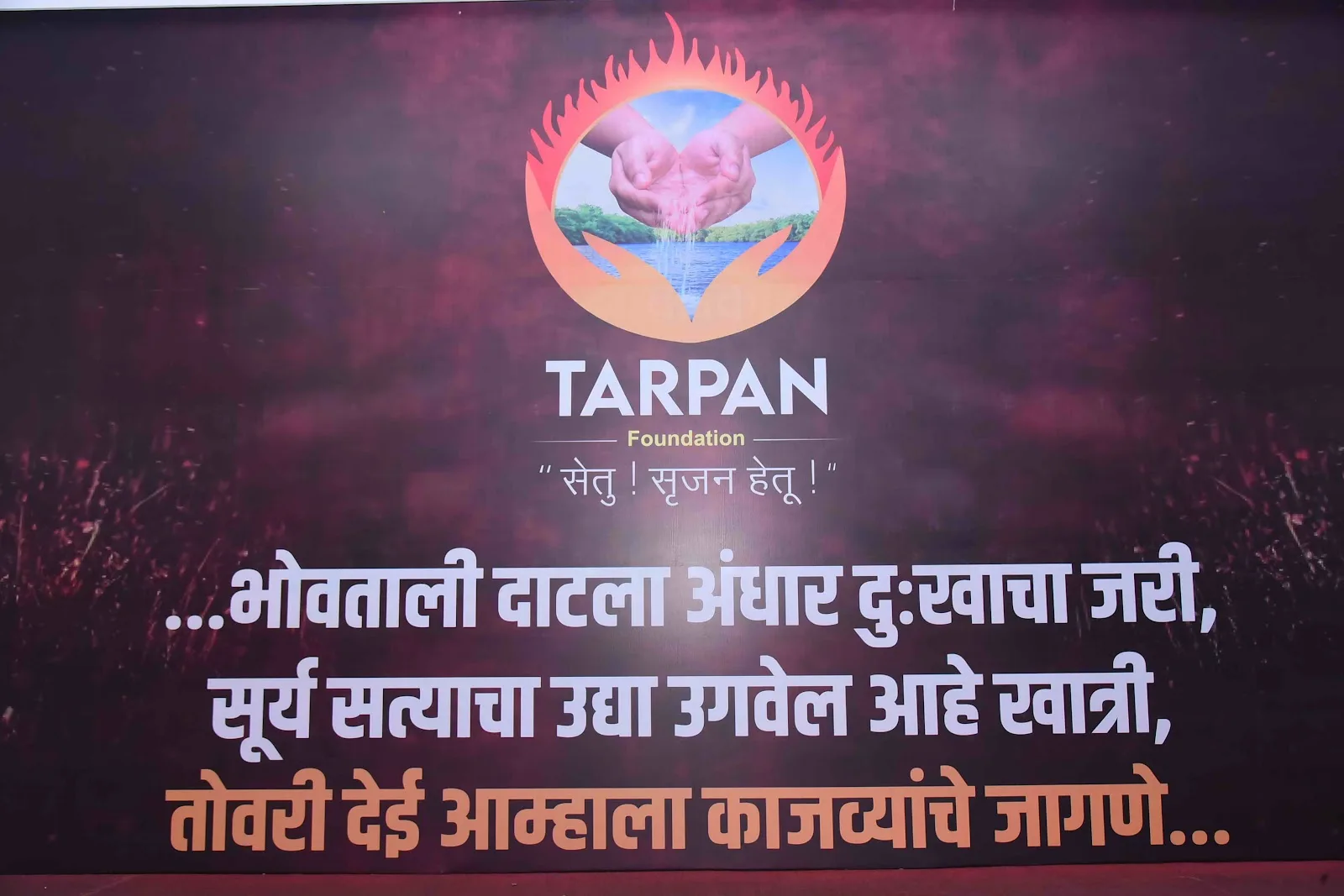 Tarpan Foundation