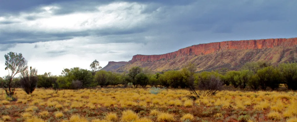 Environmental Defenders Office (EDO Ltd) Sydney