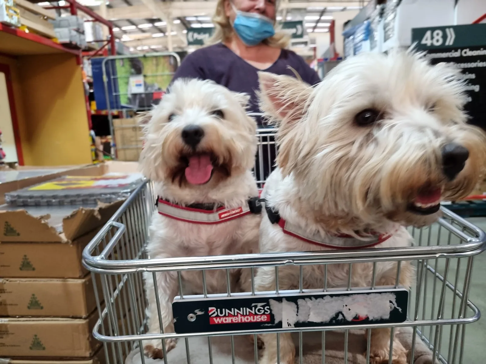 Second Chance Animal Rescue