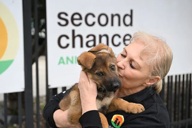 Second Chance Animal Rescue