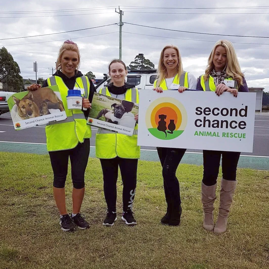 Second Chance Animal Rescue