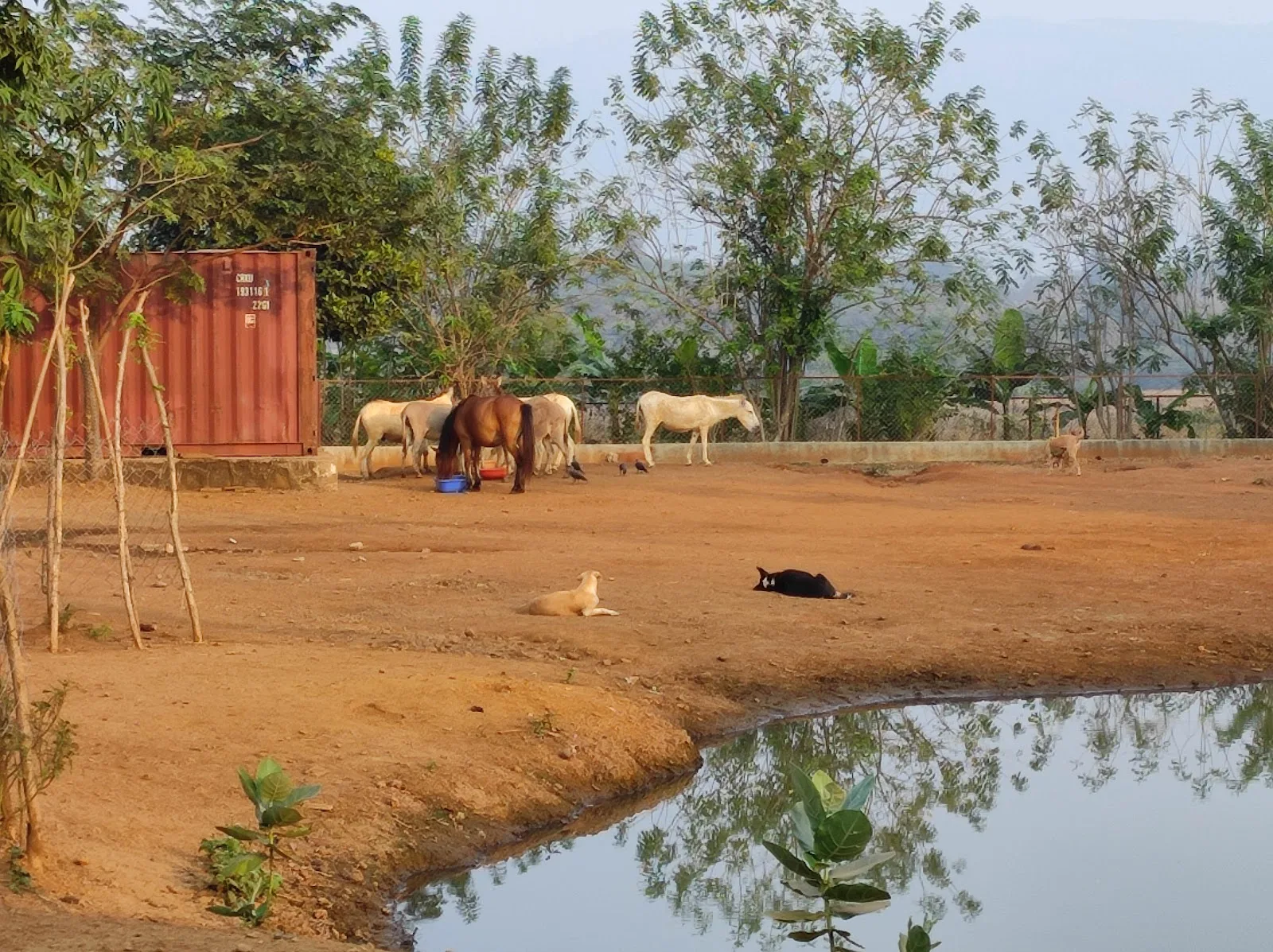 Probably Paradise Shelter