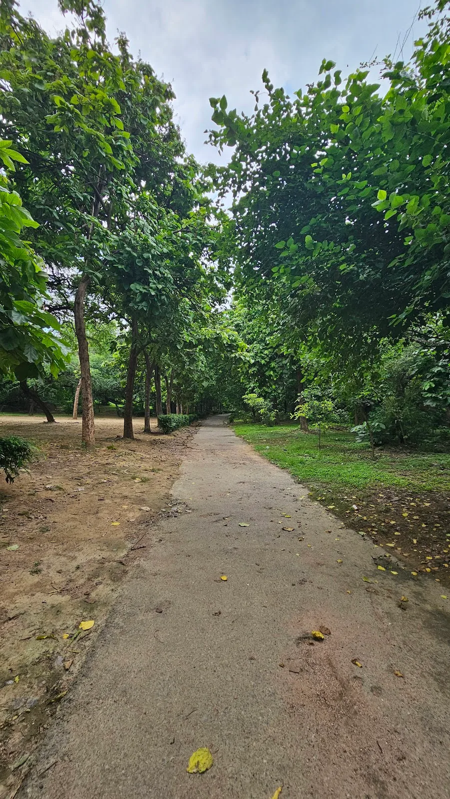 Bhuli Bhatyari Park