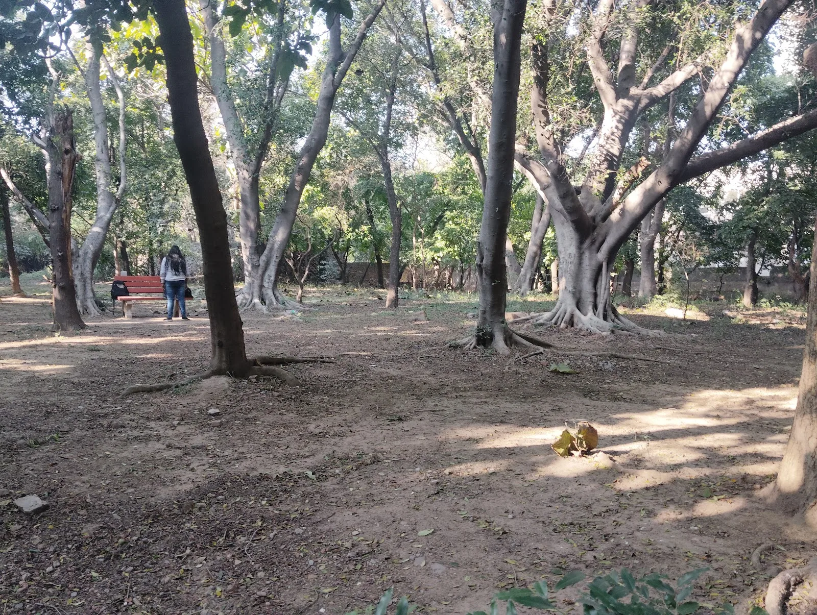 Bhuli Bhatyari Park