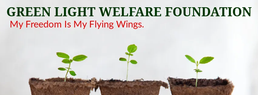 Green Light Welfare Foundation