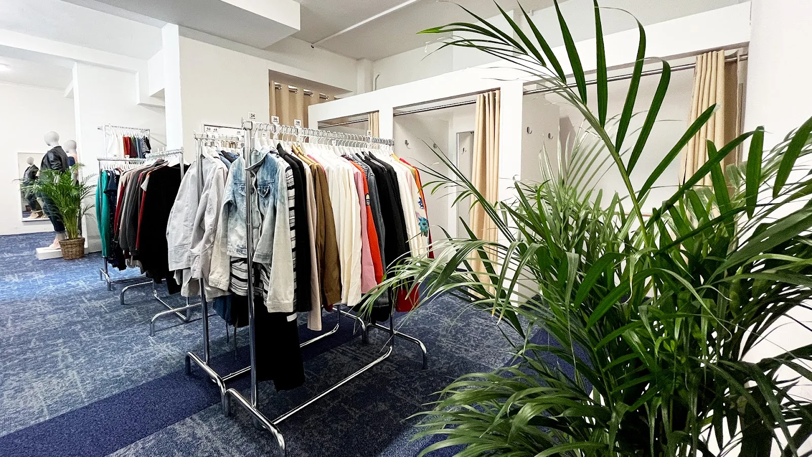 Hanseatic Help Store