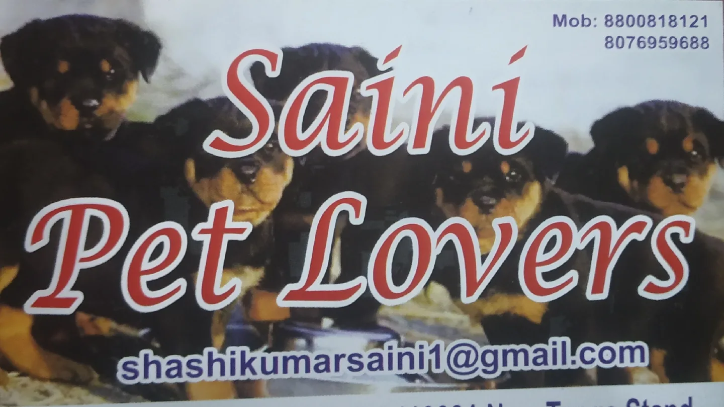 Saini Pet Lovers