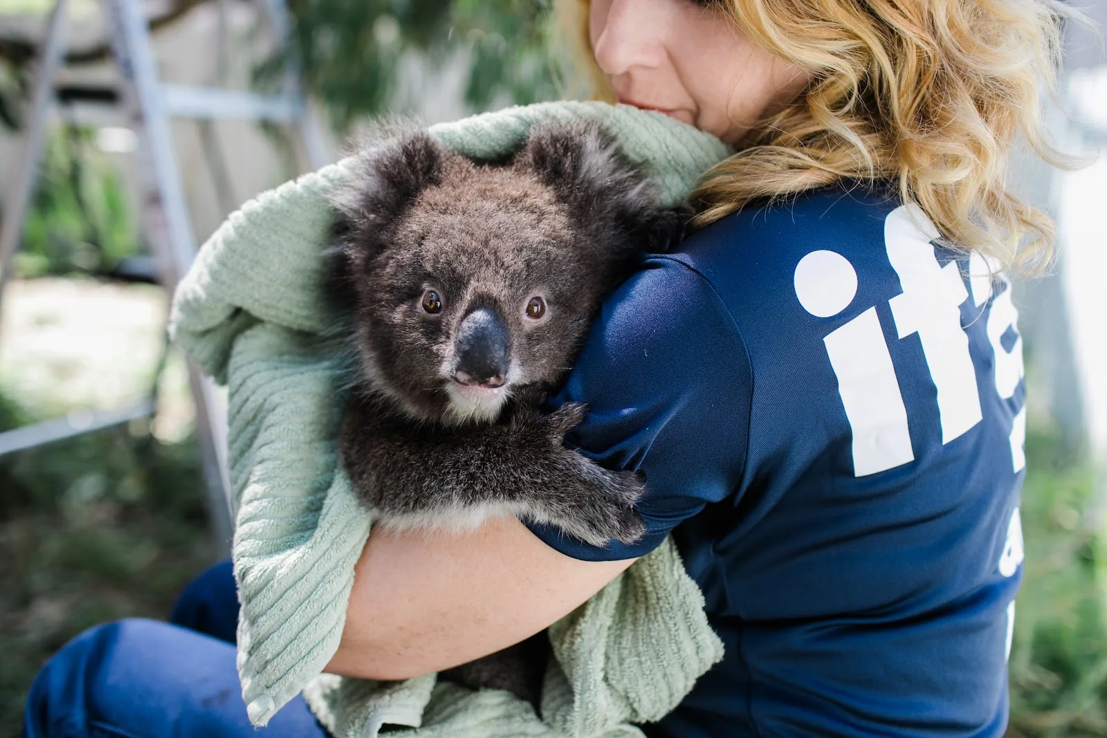 International Fund for Animal Welfare