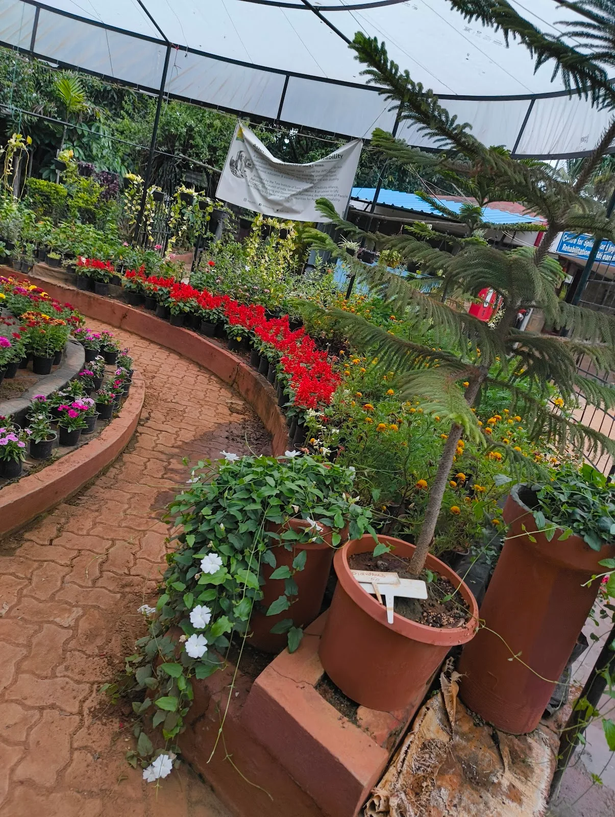 Association Of People With Disablity Horticulture Training Centre