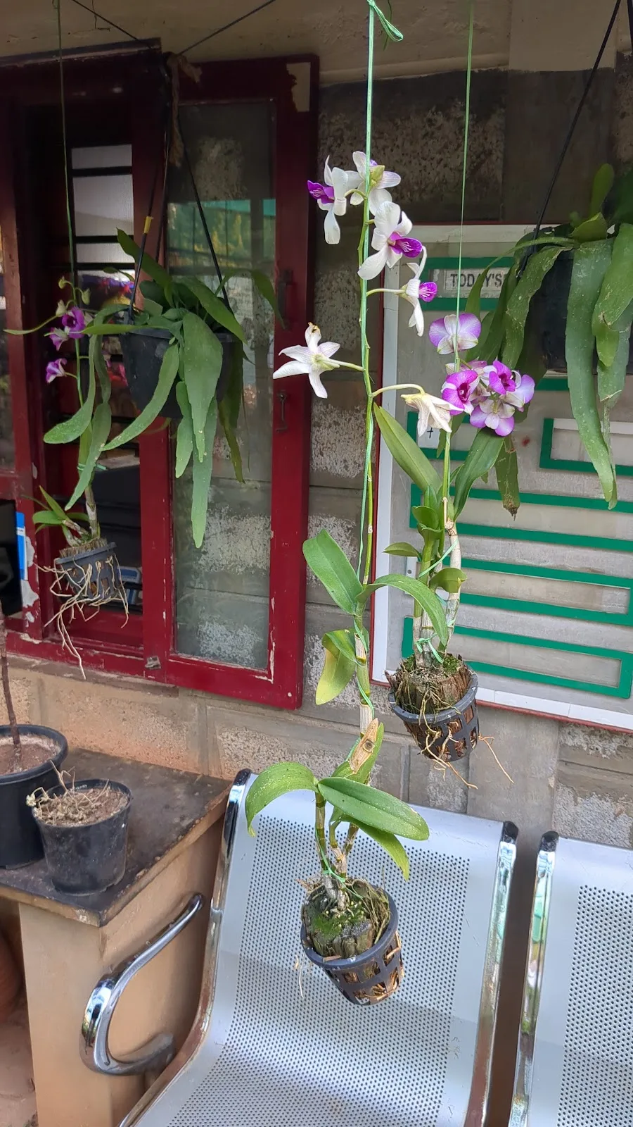 Association Of People With Disablity Horticulture Training Centre